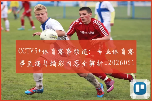 CCTV5+体育赛事频道：专业体育赛事直播与精彩内容全解析_20260514222614