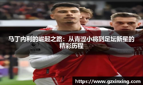 马丁内利的崛起之路：从青涩小将到足坛新星的精彩历程